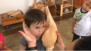 Educação Infantil Waldorf